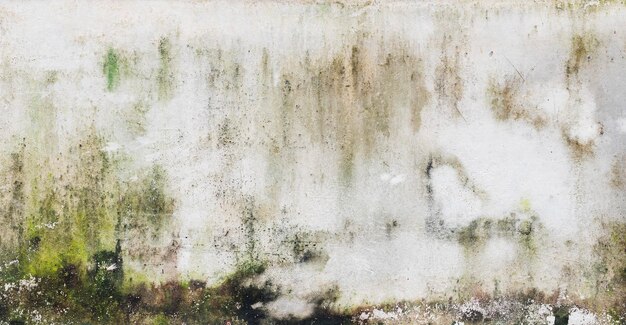 Foto el musgo verde y las manchas de lluvia en la pared de cemento