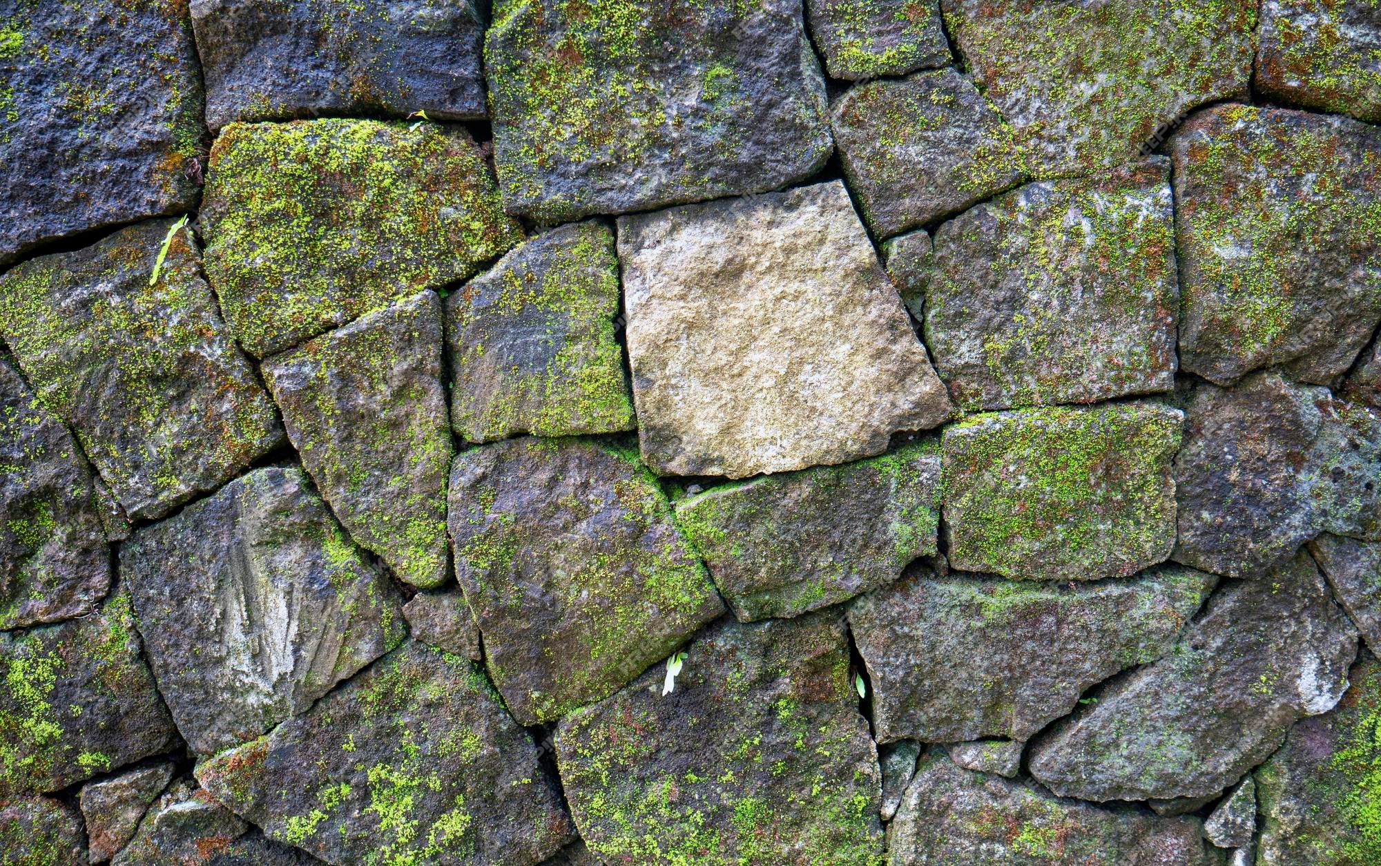 Papel de Parede Muro de Pedras Naturais Com Flores Verdes