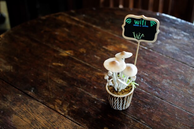 Mushroom-pot-on-wooden-table