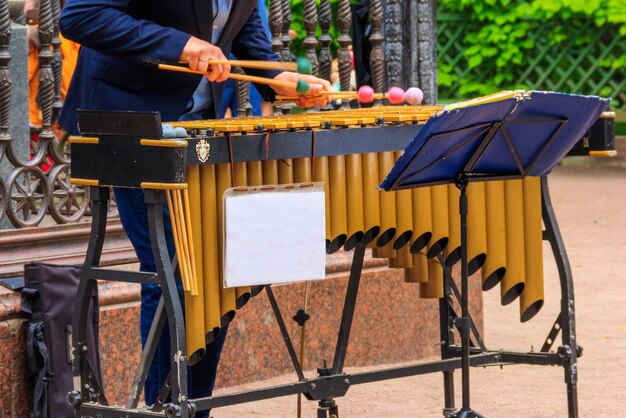 Músico callejero tocando un xilófono en el parque de la ciudad