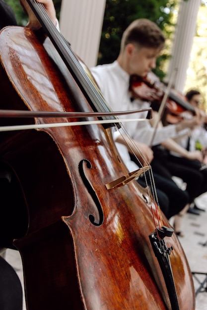 Músico tocando el violín