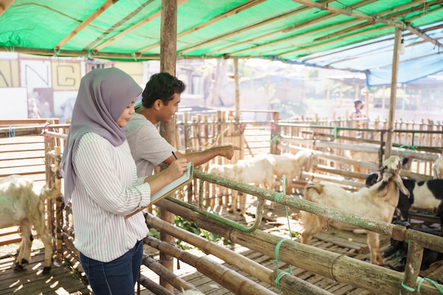 Muslimische tierärztliche Untersuchung der Ziege auf traditionellem Bauernhof