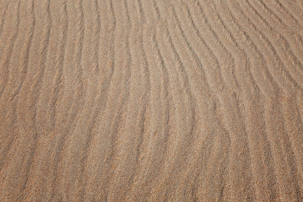 Foto muster auf dem sand in den dünen nahaufnahme von oben raum für text hintergrund