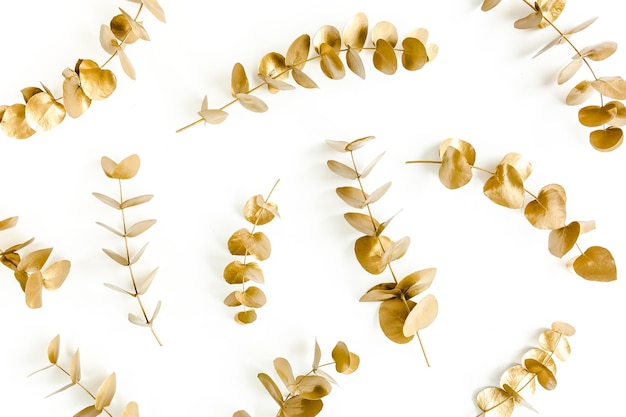 Muster aus Eukalyptusblättern mit Goldzweigen auf einer Draufsicht mit weißem Hintergrund und flachem Layout