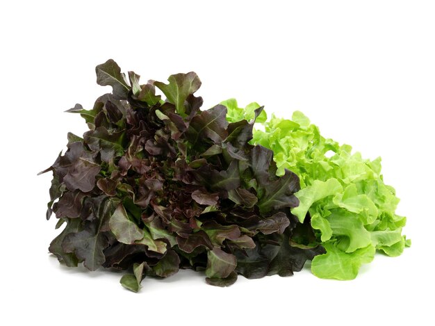 Muster aus frischen Salatblättern, isoliert auf weißem Hintergrund