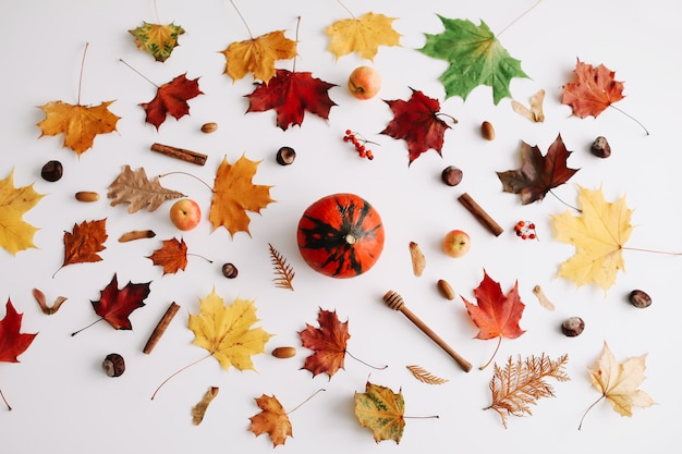 Muster aus herbstlichen Dingen auf weißem Hintergrund Herbst-Herbst-Konzept Flache Lage