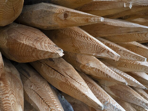 Muster aus spitzen Holzstämmen