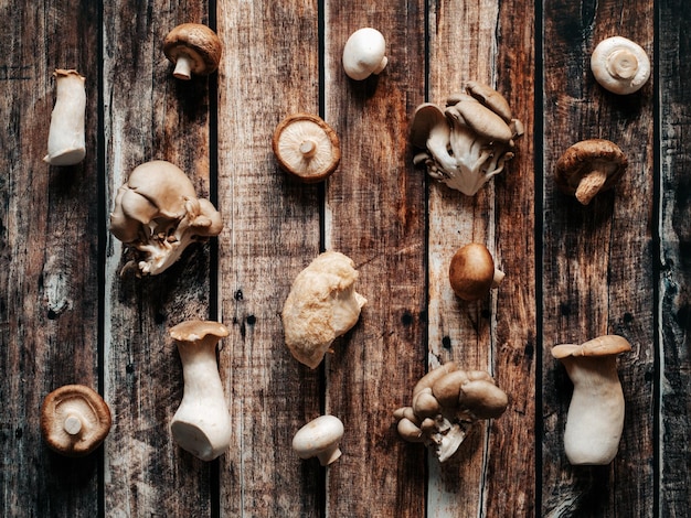 Muster aus verschiedenen Pilzarten Draufsicht