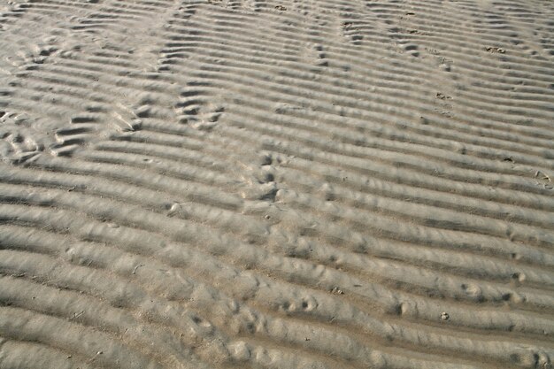 Muster des Sandstrand-Kräuselungshintergrundes.