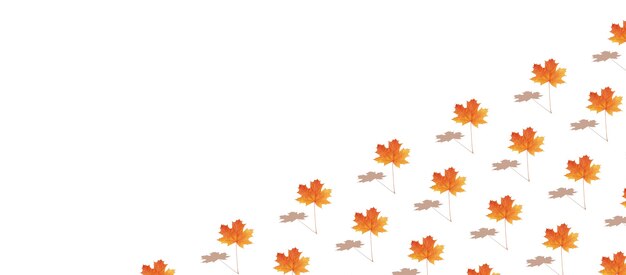 Muster Herbstahornblatt orange-rot auf weißem Hintergrund im Bannerformat mit Textfreiraum