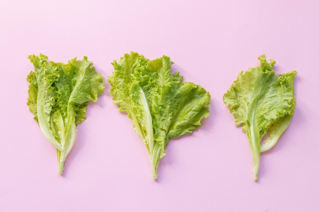 Muster von Salatblättern auf rosa Hintergrund