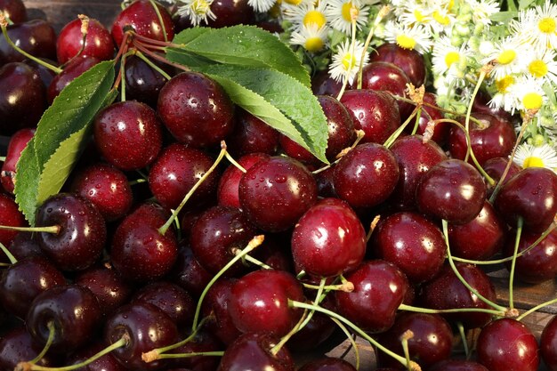 Musterhintergrund von frischen Sommersüßkirschen