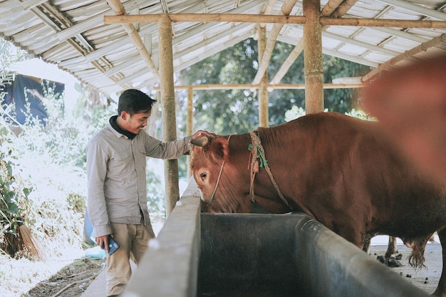 Un musulmán acariciando una vaca