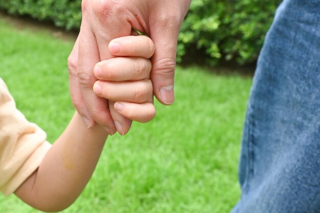 Foto mutter erwachsene hand hält kinderhand im park freizeit familienzeit achtsamkeit lebender lebensstil