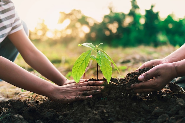 Mutter mit kindern, die helfen, baum in der natur zu pflanzen, um erde zu retten. umwelt-öko-konzept