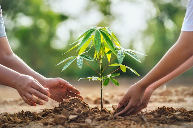 Mutter mit Kindern hilft beim Pflanzen von Bäumen in der Natur, um die Erde zu retten. Umwelt-Öko-Konzept
