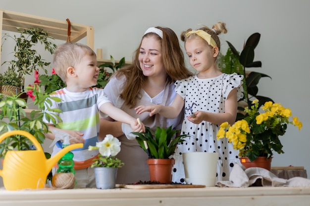 Mutter mit Sohn und Tochter in Fastenpflanze oder Verpflanzung von Zimmerblumen Kleiner Helfer bei der Hausarbeit