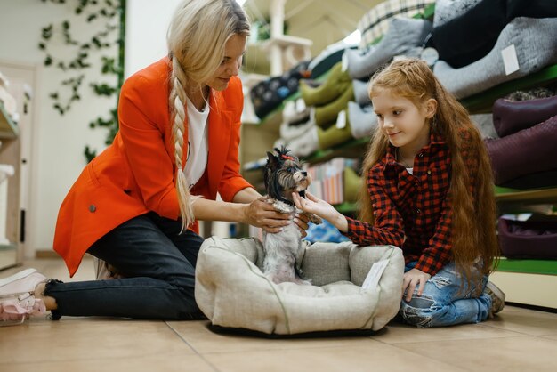 Mutter mit Tochter, die Hundebett für kleinen Hund in der Tierhandlung wählt. Frau und kleines Kind kaufen Ausrüstung im Zoogeschäft, Zubehör für Haustiere domestic