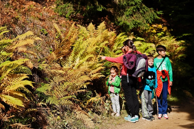 Mutter mit vier Kindern im Bergwald in der Nähe des Farns Familienreisen und Wandern mit Kindern