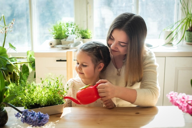 Mutter-Tochter, die Setzlinge wässert, mikrogrüne Frühlingsblumen kümmern sich gemeinsam um Zimmerpflanzen