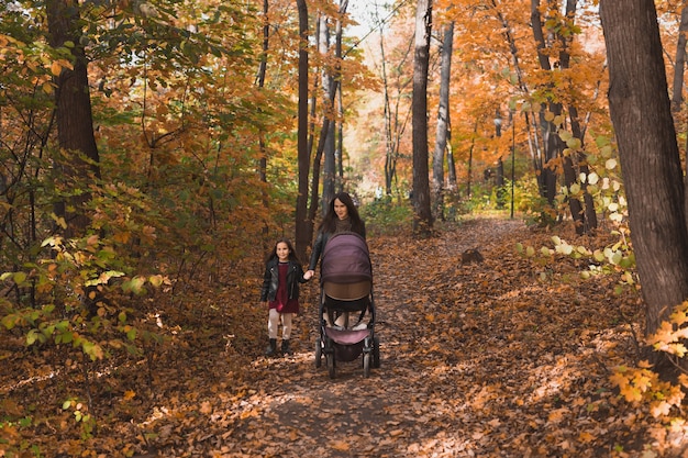 Mutter und ihre kleine Tochter und ein Baby im Kinderwagen auf einem Spaziergang im Herbstwald