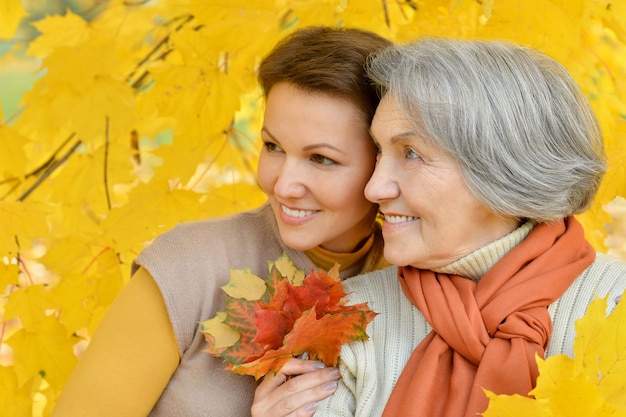 Mutter und ihre nette Tochter im Herbstpark