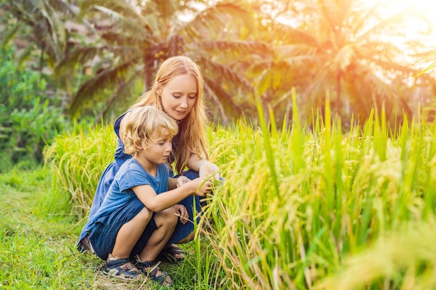 Mutter und Sohn auf dem Reisfeld im Hintergrund der Reisterrassen, Ubud, Bali, Indonesien. Reisen mit Kinderkonzept. Kinder in der Praxis unterrichten. mit Sonnenlicht