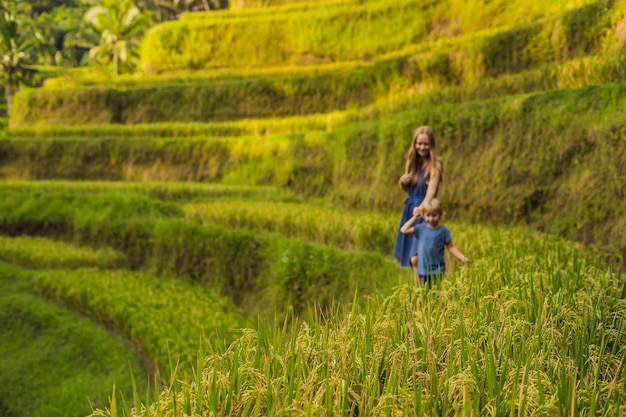 Mutter und Sohn auf dem Reisfeld im Hintergrund der Reisterrassen, Ubud, Bali, Indonesien. Reisen mit Kinderkonzept. Kinder in der Praxis unterrichten
