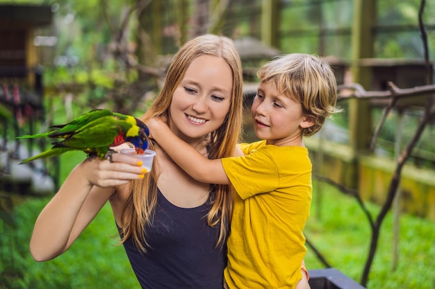 Mutter und Sohn füttern den Papagei im Park Zeit mit dem Kinderkonzept verbringen