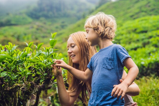 Mutter und Sohn sind auf einer Teeplantage in Malaysia unterwegs. Reisen mit Kinderkonzept