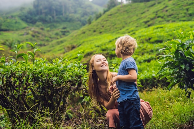Mutter und Sohn sind auf einer Teeplantage in Malaysia unterwegs. Reisen mit Kinderkonzept