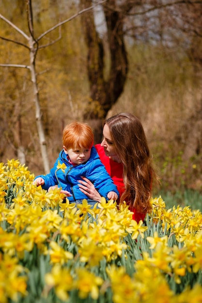 Foto mutter und sohn spazieren im narzissen-tal, tausende von blumen herum.