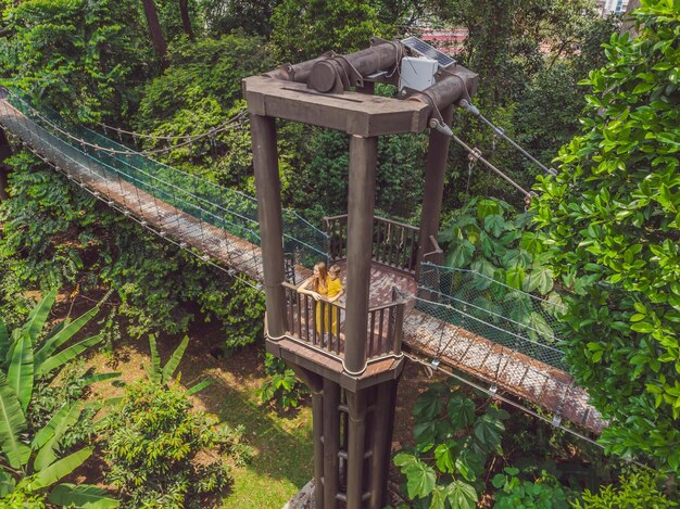 Mutter und Sohn Touristen an der Capilano-Hängebrücke Kuala Lumpur Forest Ecopark Luftbild Reisen mit Kinderkonzept