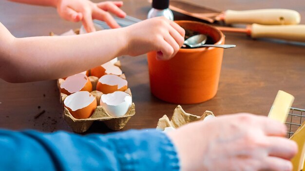 Mutter und Tochter beginnen Samen in Eierschalen für die Frühjahrspflanzung.