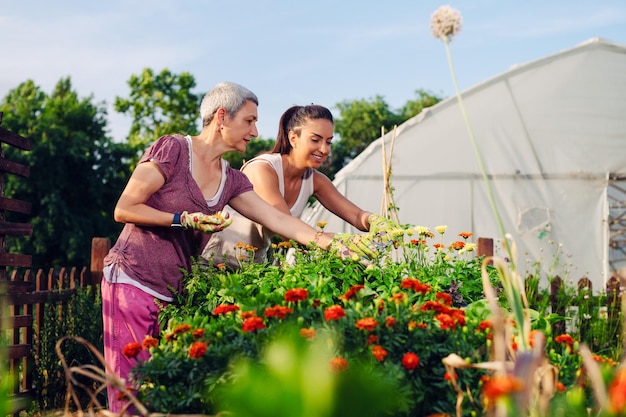 Mutter und Tochter genießen die Gartenarbeit im heimischen Hinterhof