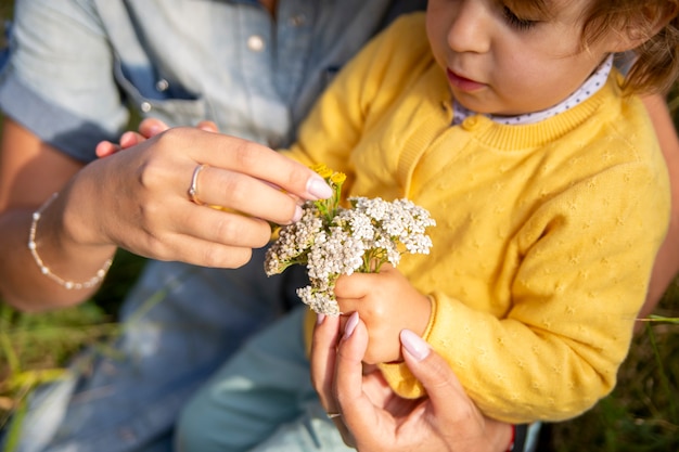 Mutter und Tochter Kleinkind sammeln einen Blumenstrauß Schafgarbe Nahaufnahme