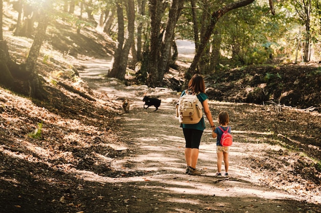 Mutter und Tochter mit Hunden beim Wandern im Wald