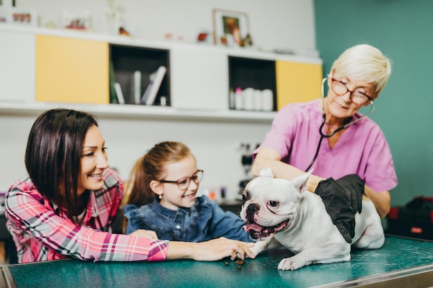 Mutter und Tochter mit ihrer französischen Bulldogge beim Tierarzt.