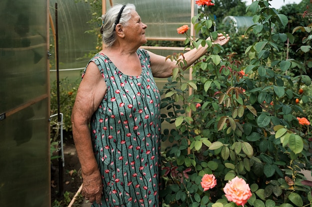 Muy anciana trabajando en su jardín en verano. La abuela se queda cerca del invernadero y cultiva rosas. Aficiones para el concepto de personas mayores. Día de los Abuelos.