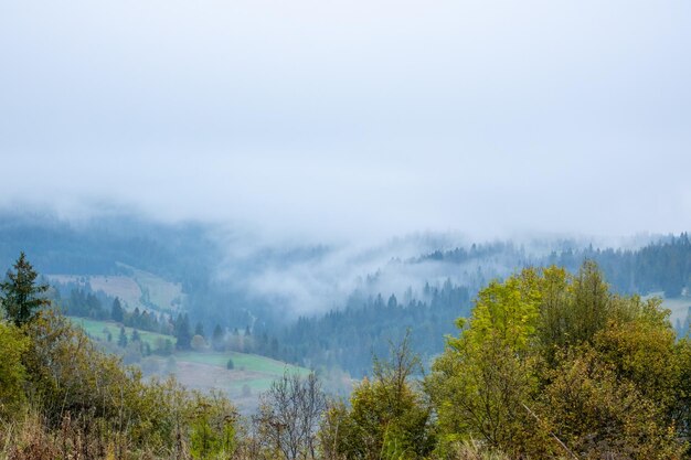 Muy espesa niebla sobre las montañas boscosas de los Cárpatos.
