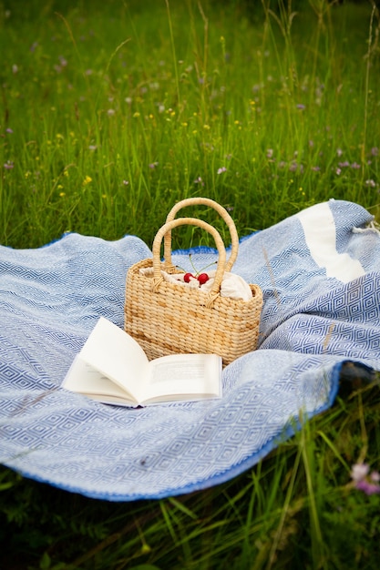 Muy hermoso picnic en la naturaleza en el parque. Bolso de paja, libro, cuadros azules. Recreación al aire libre. De cerca.