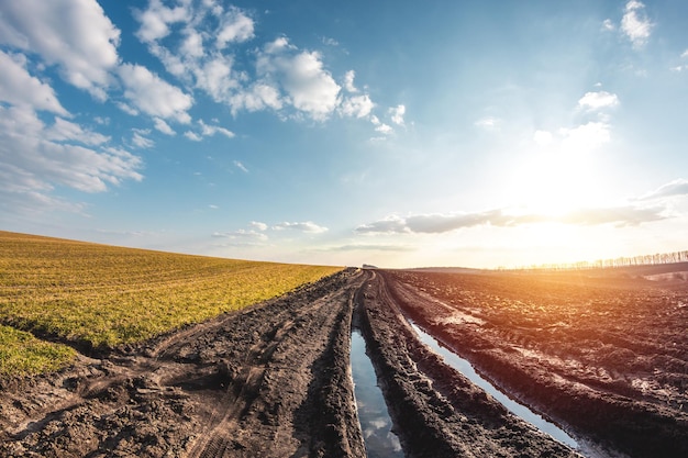 Muy mal camino en un campo agrícola Tierras de cultivo en primavera Inspección de cultivos de invierno