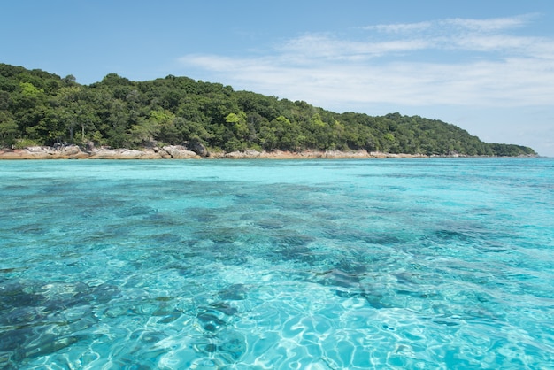 muy transparente azul mar turquesa transparente y color esmeralda puede ver muchos arrecifes bajo el agua