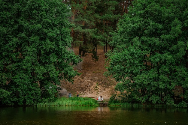 Mysteriöser Landschaftssee umgeben von Wald