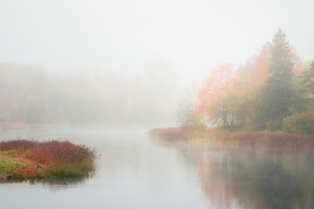 Mystische Morgenherbstlandschaft mit Nebel über dem See