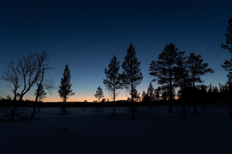 Foto mystische schwedische winterwildnis nacht-schneelandschaft unter dem dunklen himmel in nordeuropa