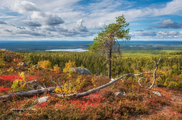 Mystischer Berg Vottovaara in Karelien während des goldenen Herbstes. Russische Nordlandschaft