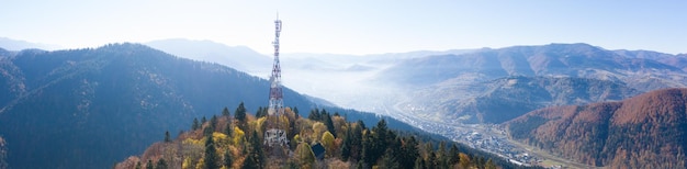 Mystisches Rotbuchenwaldpanorama. Natürlicher Hintergrund.