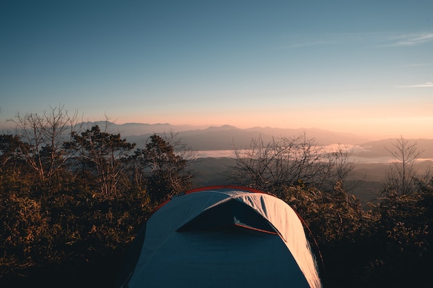 Na colina, vista da floresta da montanha à noite