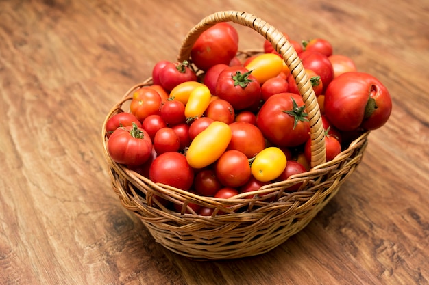 Na foto há uma cesta com tomates. Alimentos orgânicos frescos do jardim.
